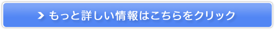 ڌWNPAZbgyI[pXr[eB[04HADAPINz̔TCg